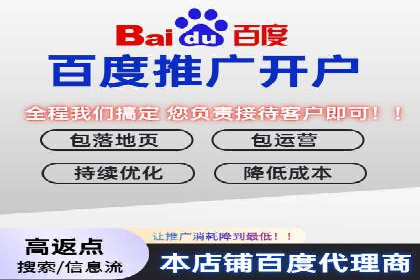 高效SEM托管服务：成功案例深度解析